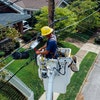 Chalk Electrical & Maintenance Services avatar